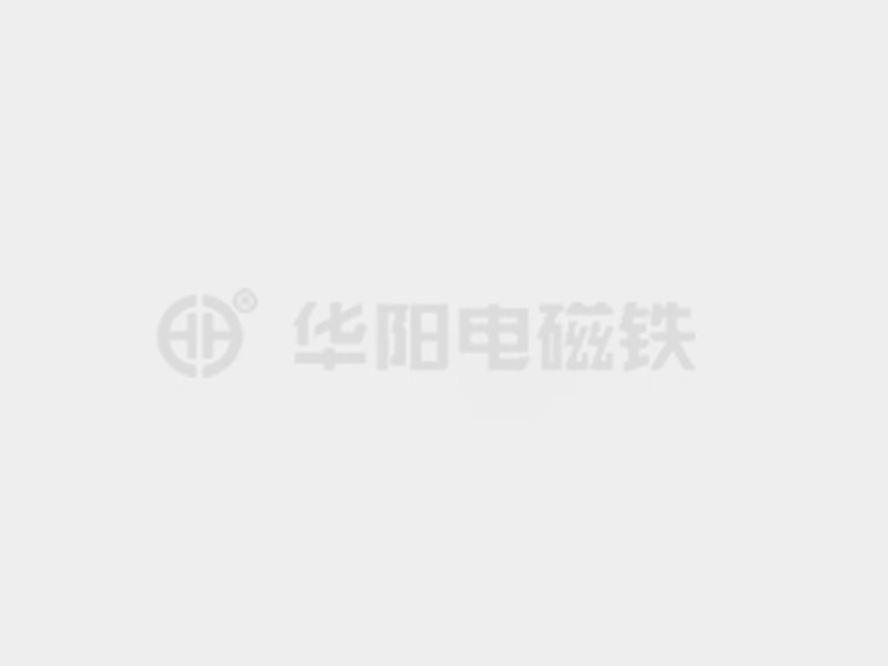 插逼大屌操防爆电磁铁的储存和维护较佳实践！